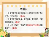 初中语文人教部编版九年级上册  19 怀疑与学问 课件