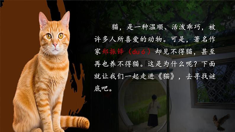 第17课《猫》课件-2024-2025学年七年级语文上册同步备课优质课件（统编版2024）第1页