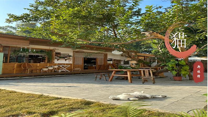 第17课《猫》课件-2024-2025学年七年级语文上册同步备课优质课件（统编版2024）第2页