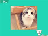 七年级语文上册第5单元第17课猫授课课件新人教版