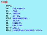 初中语文人教部编版九年级上册 16 我的叔叔于勒 课件