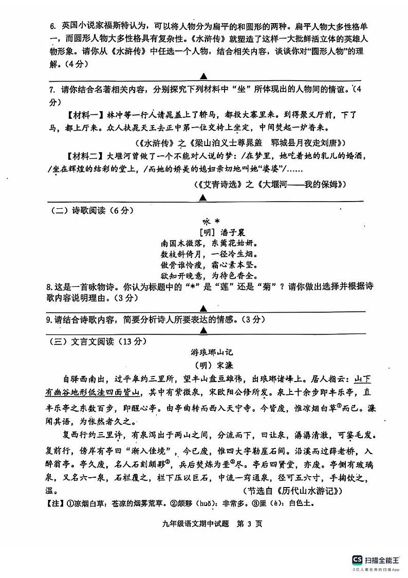 江苏省扬州市宝应县2024-2025学年九年级上学期11月期中语文试题03