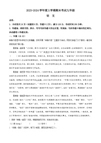 广西壮族自治区梧州市岑溪市2023-2024学年九年级上学期期末语文试题（解析版）