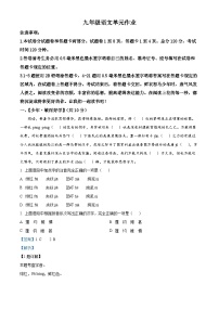 山东省临沂市沂水县2023-2024学年九年级上学期期末语文试题（解析版）