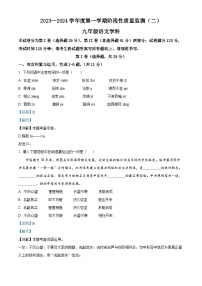 天津市南开区2023-2024学年九年级上学期期末语文试题（解析版）