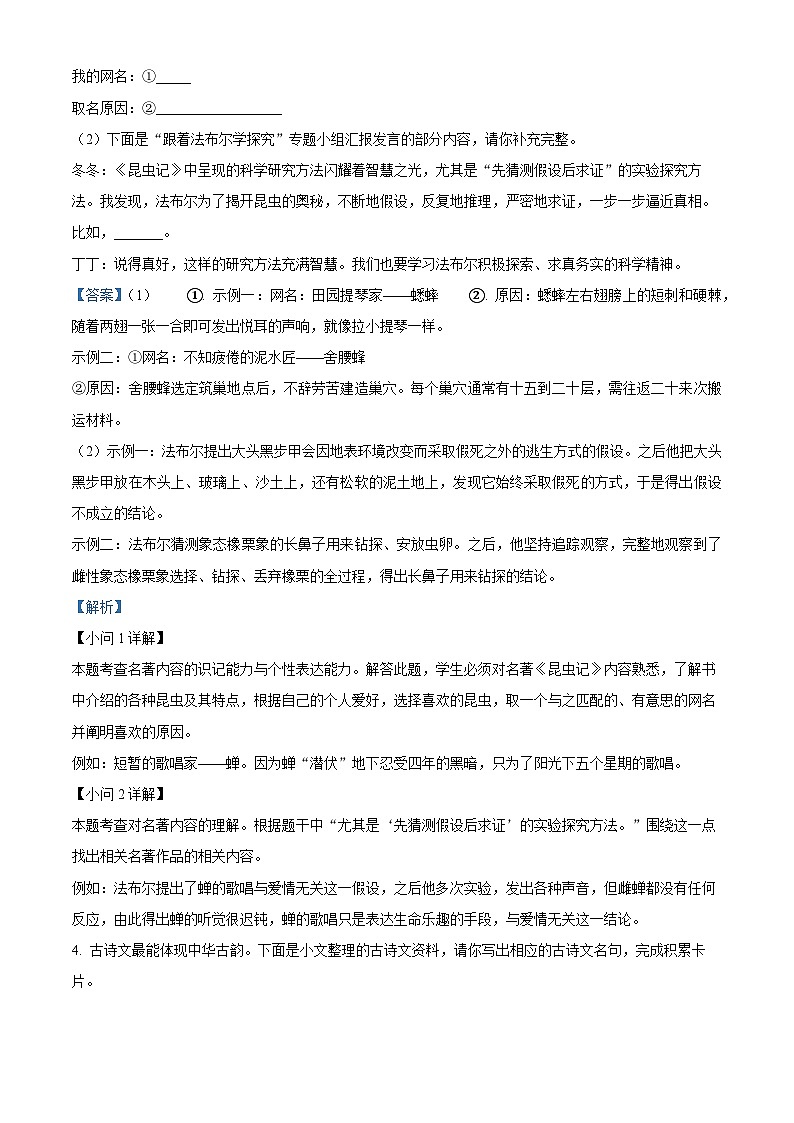 河南省洛阳市伊川县2023-2024学年八年级上学期期末语文试题（解析版）第3页
