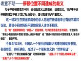 2025年中考语文一专项复习：《辨析修改病句之表意不明、不合逻辑》课件