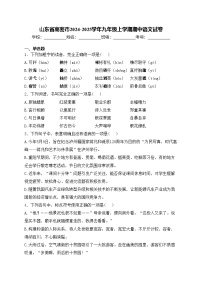 山东省高密市2024-2025学年九年级上学期期中语文试卷(含答案)