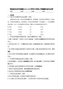 陕西省宝鸡市凤翔区2024-2025学年七年级上学期期中语文试卷(含答案)