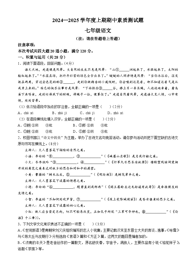 河南省驻马店市确山县2024-2025学年七年级上学期期中语文试题第1页