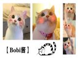 第17课《猫》课件-2024-2025学年统编版语文七年级上册（2024）