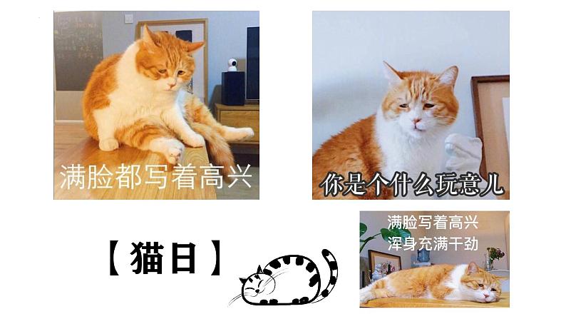 第17课《猫》课件-2024-2025学年统编版语文七年级上册（2024）第7页