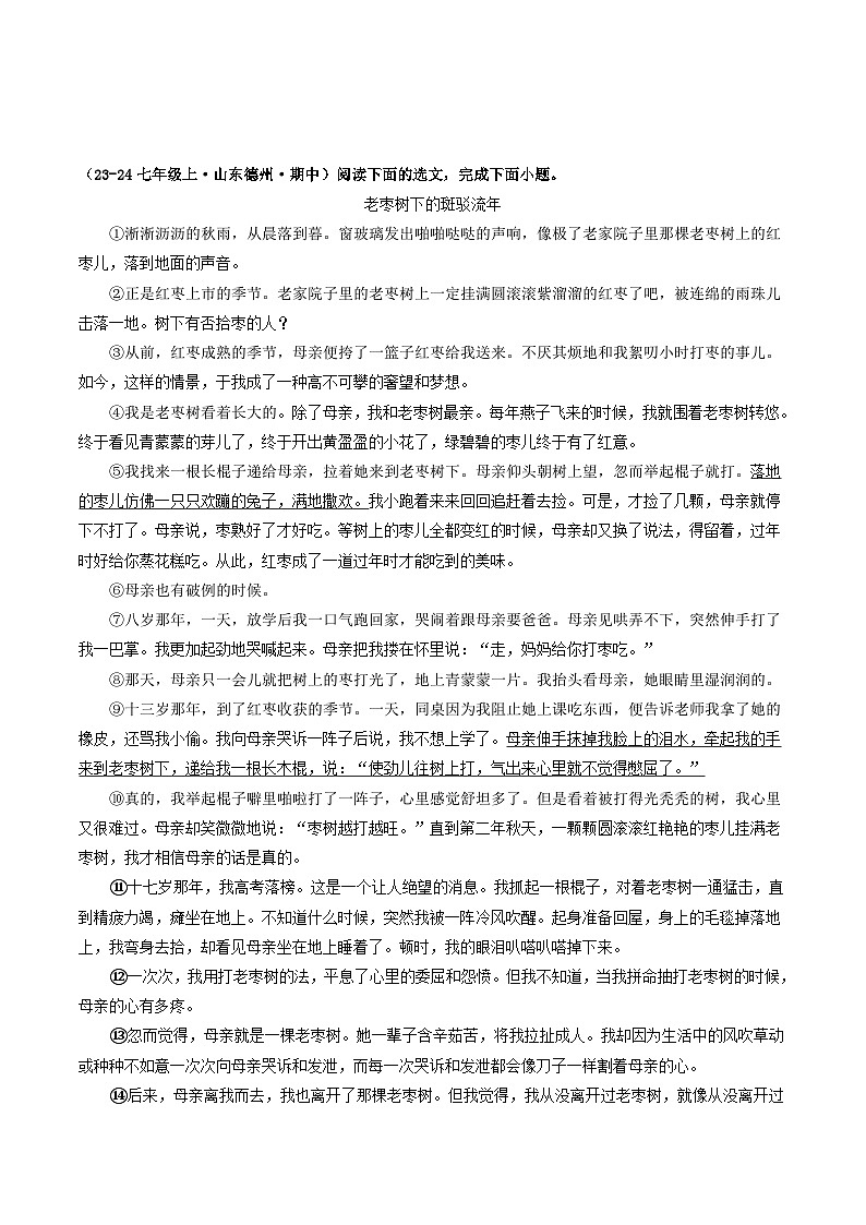 山东 2024-2025 七年级上语文期中真题分专题汇编  专题13    记叙文阅读（二）（不含答案版）第3页