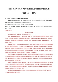 山东 2024-2025 七年级上语文期中真题分专题汇编 专题14    写作（含答案解析版）