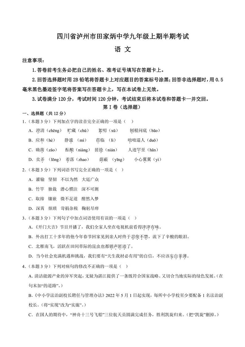 四川省泸州市田家炳中学2024～2025学年九年级(上)期中语文试卷(含答案)第1页