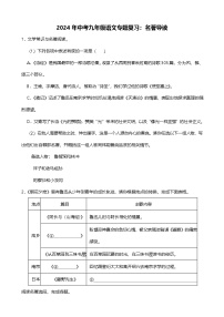 2024年中考九年级语文专题复习（专练）：名著导读3 （含答案）