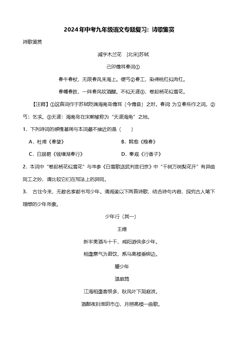 2024年中考九年级语文专题复习（专练）：诗歌鉴赏3（含答案）第1页