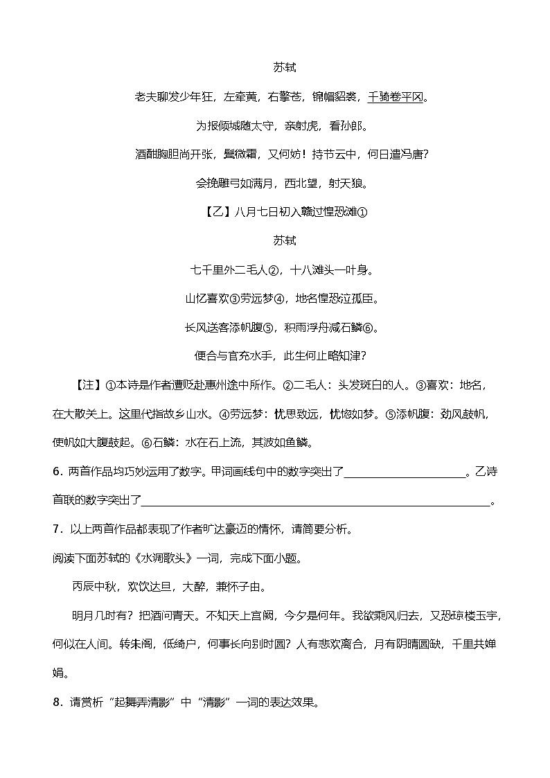 2024年中考九年级语文专题复习（专练）：诗歌鉴赏3（含答案）第3页