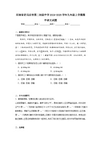 河南省驻马店市第二初级中学2024-2025学年九年级上学期期中语文试题