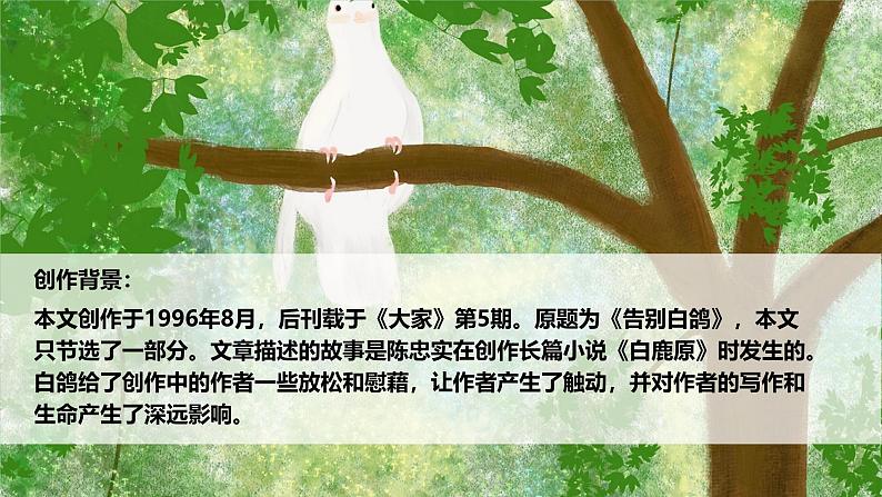统编版语文七年级上册第18课《我的白鸽》课件第7页
