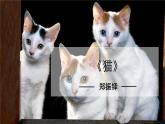 统编版语文七年级上册（2024）第17课《猫》教学课件