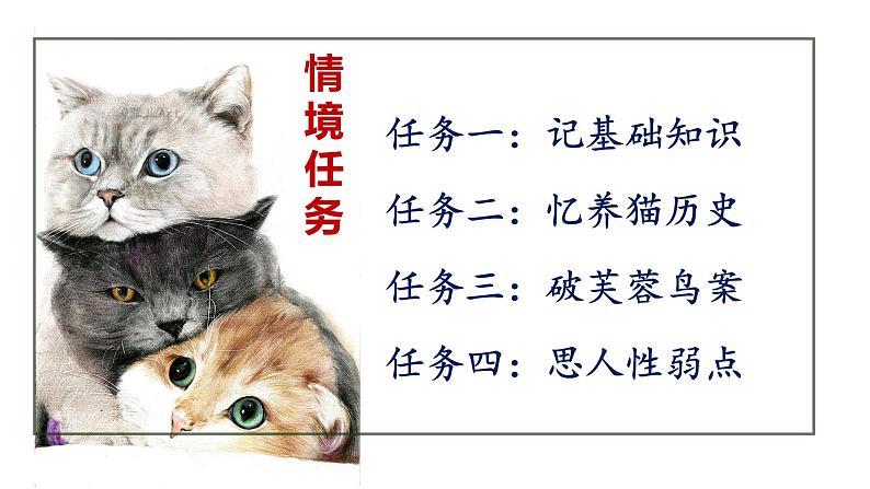 统编版语文七年级上册（2024）第17课《猫》教学课件第3页