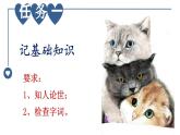 统编版语文七年级上册（2024）第17课《猫》教学课件