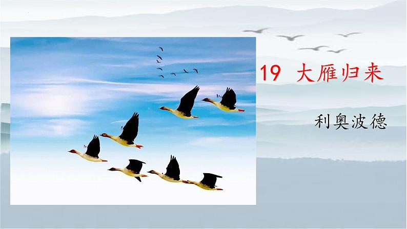 统编版语文七年级上册（2024）第19课《大雁归来》课件第3页