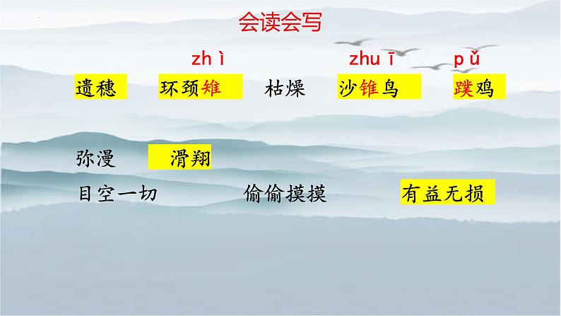 统编版语文七年级上册（2024）第19课《大雁归来》课件第6页