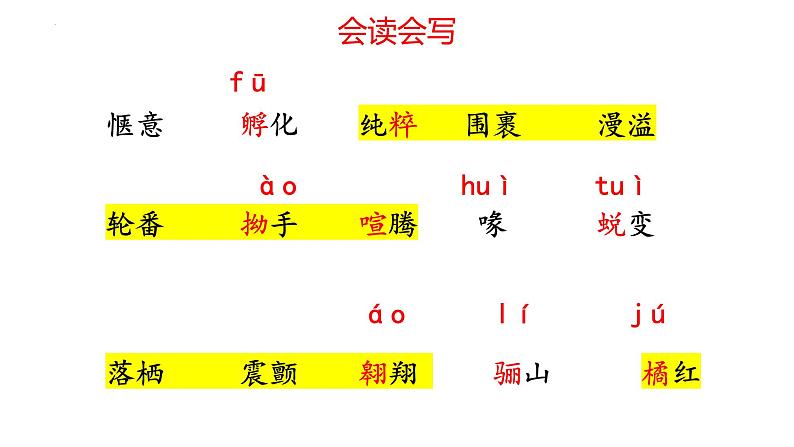 统编版语文七年级上册第18课《我的白鸽》教学课件第3页