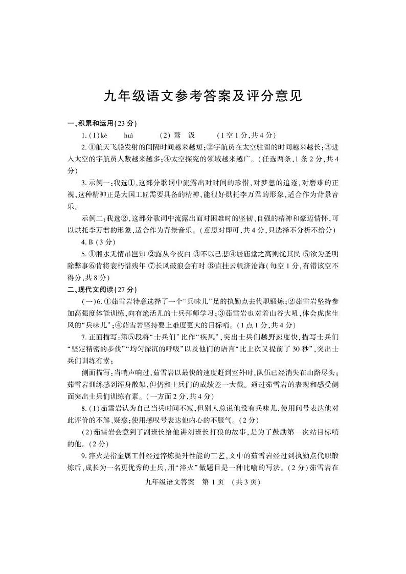 河南省洛阳市嵩县2024-2025学年九年级上学期期中考试语文试卷01