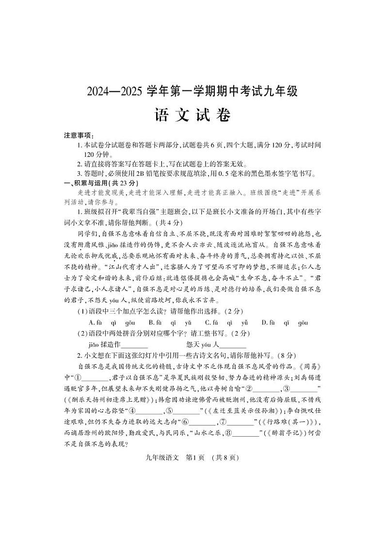 河南省洛阳市嵩县2024-2025学年九年级上学期期中考试语文试卷01