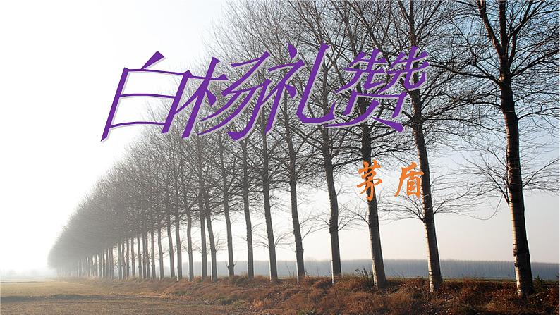 统编版语文八年级上册同步课件15《白杨礼赞》第4页