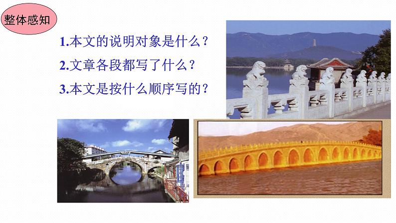 统编版语文八年级上册同步课件18《中国石拱桥》第7页