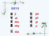 统编版语文八年级上册同步课件24《周亚夫军细柳》