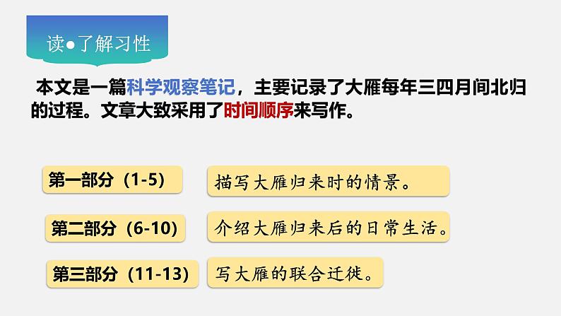第19课《大雁归来》教学课件--2024-2025学年七年级语文上册新教材教考衔接课件第6页