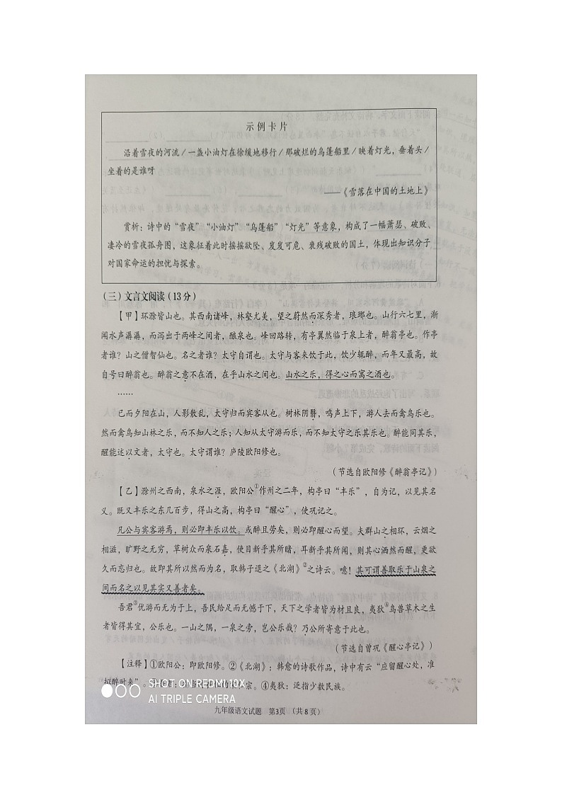 山东省青岛市胶州市2024-2025学年九年级上学期期中考试语文试题第3页