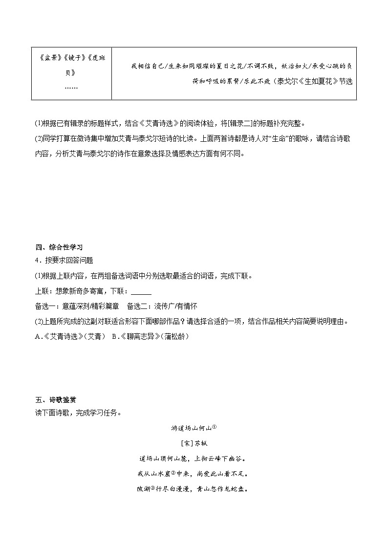 期末小测卷（三）（附答案）2024—2025学年九年级语文上册期末测试专项训练（浙江版）第3页