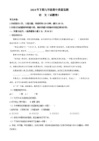 湖南省怀化市通道县2024-2025学年九年级上学期期中语文试题（解析版）-A4