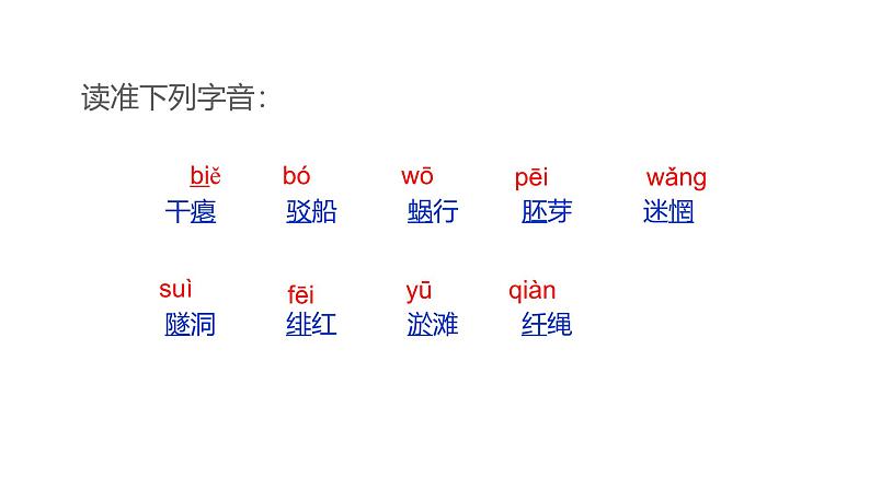 课件：部编版语文九年级下册第1课 祖国啊，我亲爱的祖国第6页