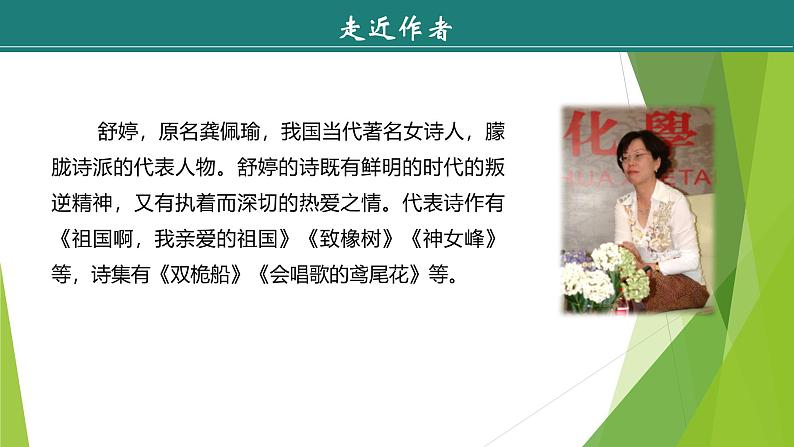 课件：部编版语文九年级下册第1课　祖国啊，我亲爱的祖国第5页