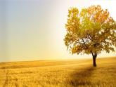 課件：部編版語文九年級下冊第3課 短詩五首——統(tǒng)一