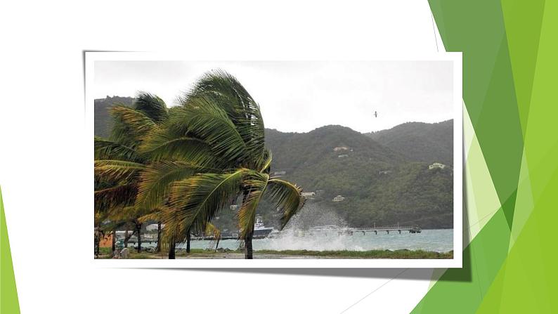 课件：部编版语文九年级下册第3课 短诗五首——风雨吟第3页