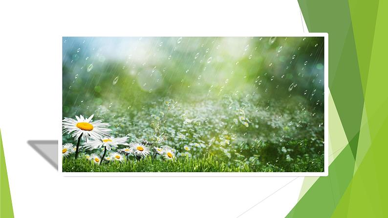 课件：部编版语文九年级下册第3课 短诗五首——风雨吟第4页