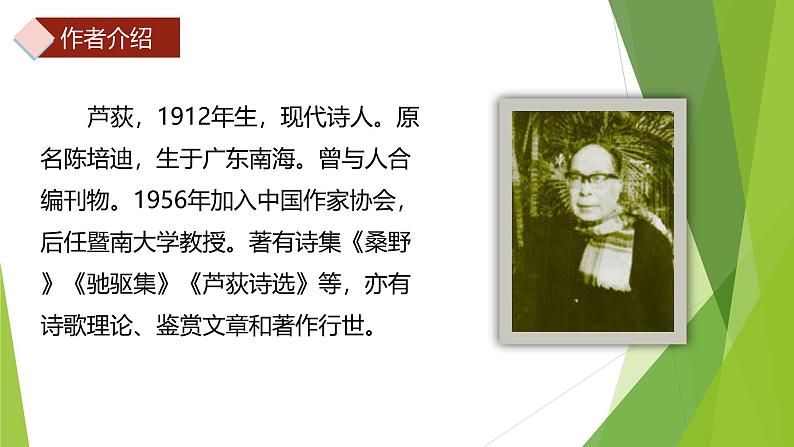 课件：部编版语文九年级下册第3课 短诗五首——风雨吟第5页