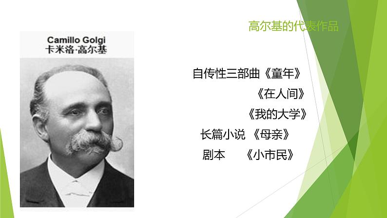 课件：部编版语文九年级下册第4课 海燕第3页