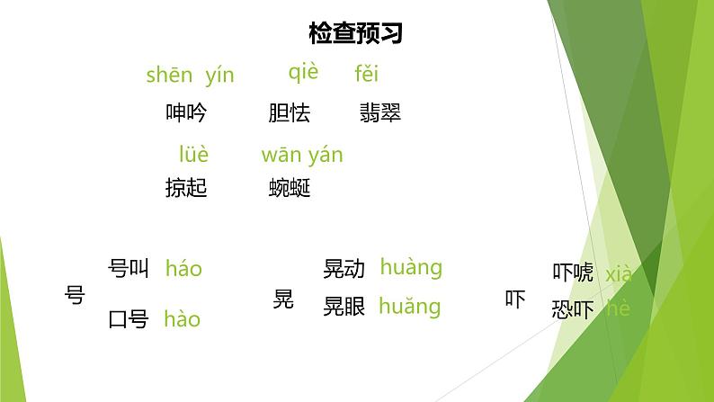 课件：部编版语文九年级下册第4课 海燕第5页