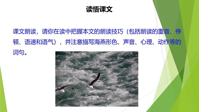 课件：部编版语文九年级下册第4课 海燕第6页