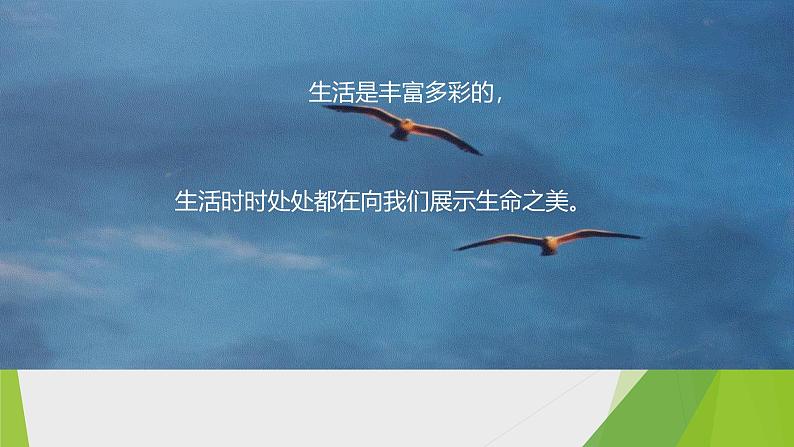 课件：部编版语文九年级下册第4课 海燕第2页