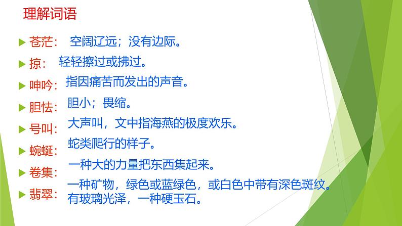 课件：部编版语文九年级下册第4课 海燕第7页